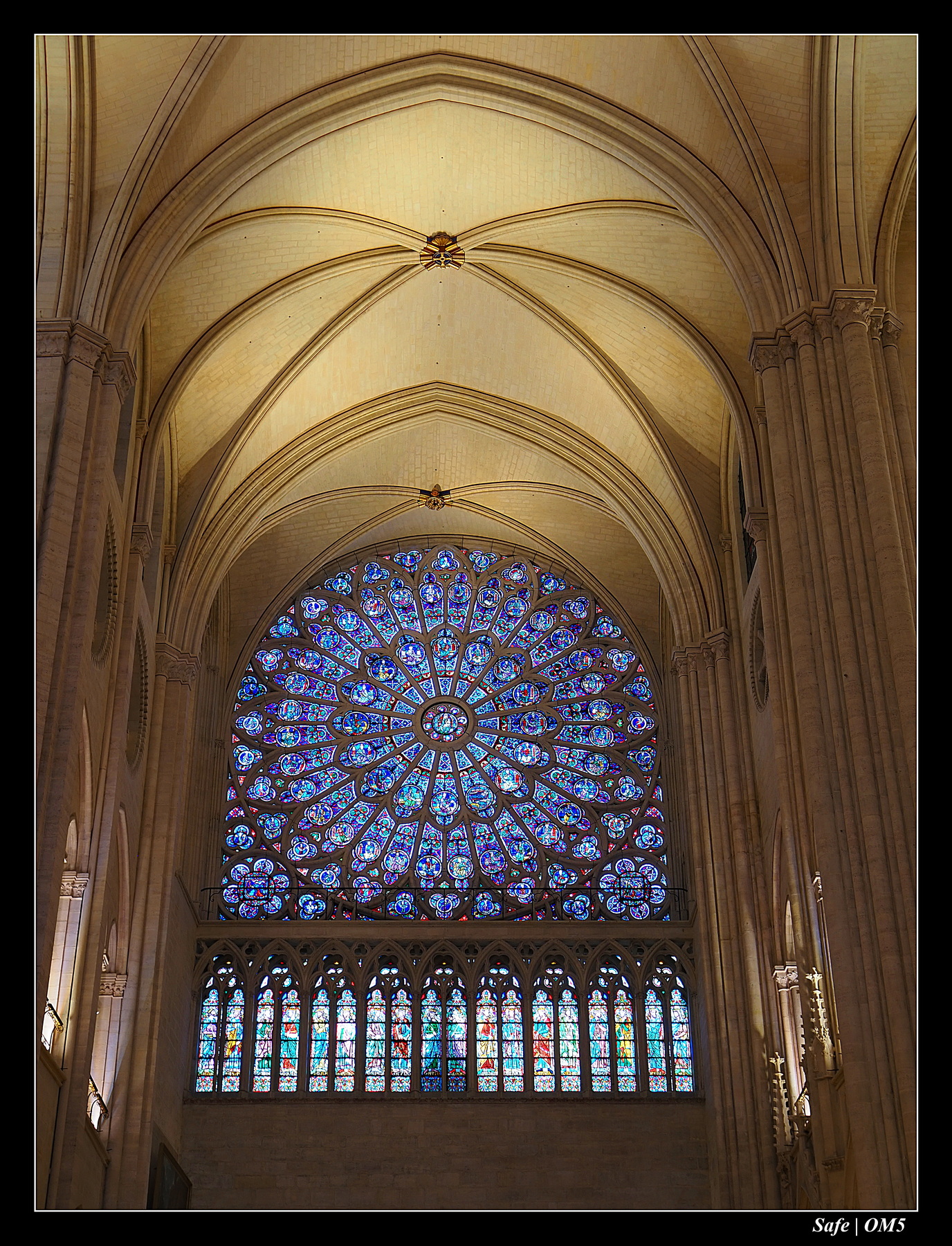 2025 - 10 - Notre dame de Paris - 15